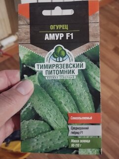 Семена Огурец, Амур F1, цветная упаковка, Тимирязевский питомник - фото 5 от пользователя