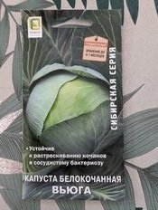 Семена Капуста белокочанная, Вьюга, 0.5 г, Сибирская, цветная упаковка, Поиск - фото 9 от пользователя