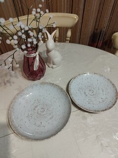Тарелка суповая, фарфор, 20.5 см, 0.7 л, круглая, Универсал Галактика, Добрушский фарфоровый завод, 3С1498Ф34 - фото 4 от пользователя