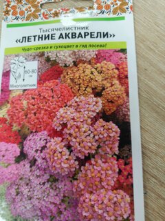 Семена Цветы, Тысячелистник, Летние акварели, 0.02 г, смесь, цветная упаковка, Русский огород - фото 1 от пользователя