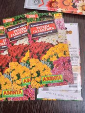 Семена Цветы, Хризантема, Звезды галактики, 0.02 г, семь окрасок, цветная упаковка, Аэлита - фото 5 от пользователя