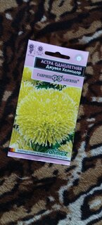 Семена Цветы, Астра, Джувел Хелиодор однолетняя, игольчато-коготковая, 0.05 г, Эксклюзив, цветная упаковка, Гавриш - фото 3 от пользователя