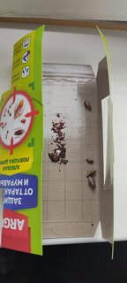 Инсектицид от тараканов, муравьев, 10 шт, ловушка клеевая, домик с приманкой, Argus - фото 3 от пользователя