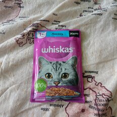 Корм для животных Whiskas, 75 г, для взрослых кошек 1+, кусочки в желе, лосось, пауч, G8461 - фото 9 от пользователя