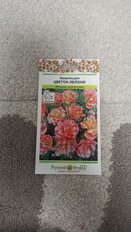 Семена Цветы, Эшшольция, Цветок Яблони, 0.1 г, цветная упаковка, Русский огород - фото 6 от пользователя