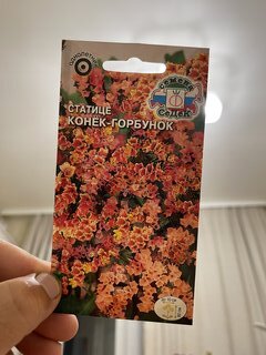 Семена Цветы, Статице, Конек-Горбунок, 0.06 г, нежно-абрикосовый, цветная упаковка, Седек - фото 8 от пользователя