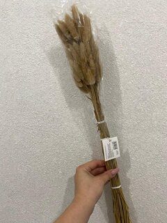 Цветок искусственный декоративный Колосья, 50-60 см, Y4-7968 - фото 2 от пользователя