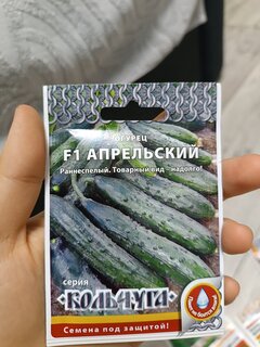 Семена Огурец, Апрельский F1, Кольчуга, цветная упаковка, Русский огород - фото 1 от пользователя