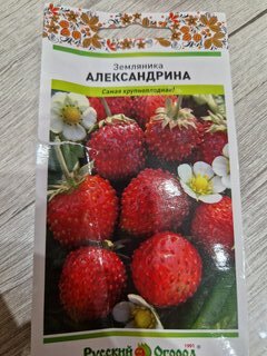 Семена Земляника, Александрина, 0.05 г, цветная упаковка, Русский огород - фото 2 от пользователя