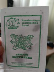 Семена Базилик, Смуглянка, 0.1 г, белая упаковка, Седек - фото 9 от пользователя