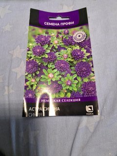 Семена Цветы, Астра, Сирена Синяя, 0.05 г, цветная упаковка, Поиск - фото 5 от пользователя