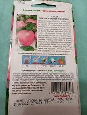 Семена Томат, Бычье Сердце Розовое, 0.1 г, цветная упаковка, Седек - фото 7 от пользователя