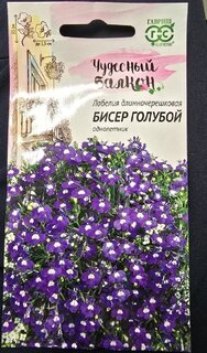 Семена Цветы, Лобелия, Бисер голубой, 0.05 г, Чудесный балкон, ампельная, цветная упаковка, Гавриш - фото 3 от пользователя