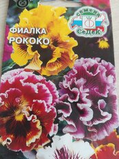 Семена Цветы, Фиалка, Рококо, 0.5 г, цветная упаковка, Седек - фото 6 от пользователя