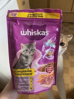 Корм для животных Whiskas, 350 г, для котят, 1-12 месяцев, сухой, индейка, молочные подушечки, коробка, 47103/7633/10116570 - фото 1 от пользователя