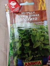 Семена Мелисса, Махито, 0.1 г, лекарственная, желто-оранжевая, центр зеленые, цветная упаковка, Аэлита - фото 8 от пользователя