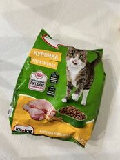 Корм для животных Kitekat, 350 г, для взрослых кошек, сухой, аппетитная курочка, пакет, 10132063 - фото 4 от пользователя