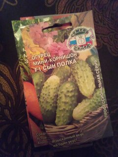 Семена Огурец, Сын полка F1, цветная упаковка, Седек - фото 1 от пользователя