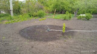 Разбрызгиватель трехлистовой, вращающийся, стационарный, быстросъемный, Kalipso, DY6064G - фото 7 от пользователя