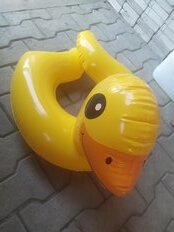 Круг надувной 57х56 см, Intex, Животные, 3-6 лет, в ассортименте, 59220NP - фото 1 от пользователя