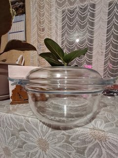 Кастрюля стекло, 2 л, с крышкой, стекло жаропрочное, Pyrex, 108A000N - фото 3 от пользователя