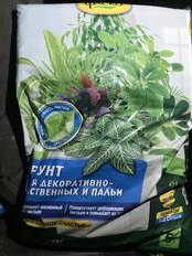 Грунт Цветочное Счастье, для декоративно-лиственных, 5 л, Фаско - фото 9 от пользователя