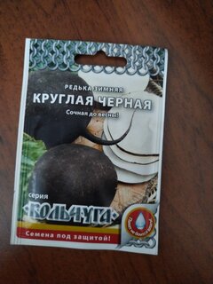 Семена Редька, Зимняя Круглая Черная, 1 г, Кольчуга, цветная упаковка, Русский огород - фото 8 от пользователя