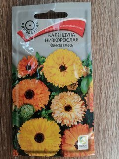 Семена Цветы, Календула, Фиеста смесь, 1 г, цветная упаковка, Поиск - фото 2 от пользователя
