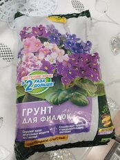 Грунт Цветочное Счастье, для фиалок, 2.5 л, Фаско - фото 2 от пользователя