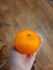 Фрукт декоративный мандарин, 8 см, Y4-2678 - фото 1 от пользователя
