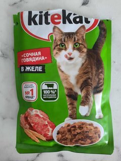 Корм для животных Kitekat, 85 г, для кошек, говядина в желе, пауч - фото 2 от пользователя