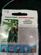 Семена Огурец, Парижский корнишон, 0.5 г, цветная упаковка, Седек - фото 8 от пользователя