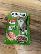 Корм для животных Kitekat, 85 г, для кошек, говядина в соусе, пауч - фото 7 от пользователя