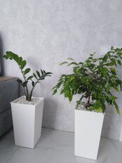 Горшок напольный для цветов пластик, 8 л, 22х41.5 см, со вставкой, белый, Альтернатива, Ротанг, М6825 - фото 3 от пользователя