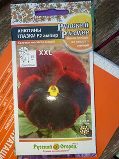 Семена Цветы, Анютины глазки, F2 Aмпир, 0.1 г, Русский размер, цветная упаковка, Русский огород - фото 6 от пользователя