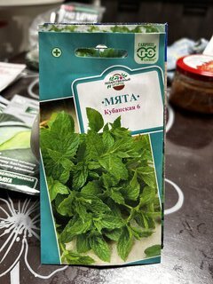 Семена Мята, Кубанская 6, 0.05 г, цветная упаковка, Гавриш - фото 8 от пользователя