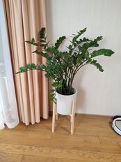 Горшок для цветов пластик, 9.5 л, 28х27 см, с вставкой, белый ротанг, Idea, Этна, М 3184 - фото 1 от пользователя
