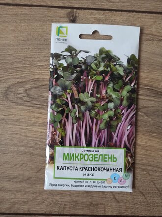 Семена Микрозелень, Капуста краснокочанная Микс, 5 г, цветная упаковка, Поиск - фото 6 от пользователя
