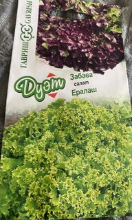 Семена Салат, Дуэт, 0.5 г, Семена от автора, Ералаш + Забава 0.5 г, цветная упаковка, Гавриш - фото 4 от пользователя