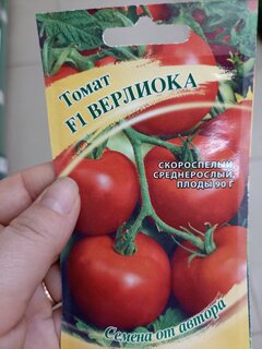 Семена Томат, Верлиока F1, Семена от автора, цветная упаковка, Гавриш - фото 6 от пользователя