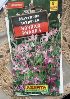 Семена Цветы, Маттиола, Ночная фиалка, 0.5 г, цветная упаковка, Аэлита - фото 3 от пользователя