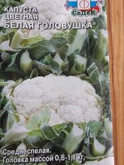 Семена Капуста цветная, Белая головушка, 0.5 г, Евро, цветная упаковка, Седек - фото 8 от пользователя