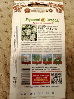 Семена Цветы, Эуфорбия маргината, Снег на горе, 0.5 г, цветная упаковка, Русский огород - фото 5 от пользователя