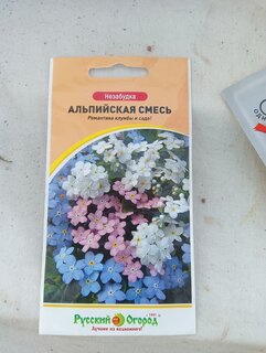 Семена Цветы, Незабудка, Альпийская, 0.2 г, смесь, цветная упаковка, Русский огород - фото 6 от пользователя
