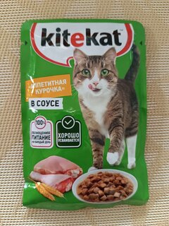 Корм для животных Kitekat, 85 г, для кошек, курица в соусе, пауч - фото 1 от пользователя