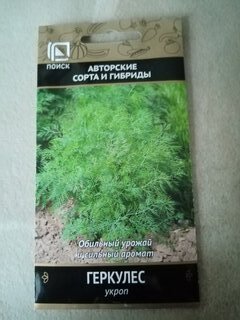Семена Укроп, Геркулес, 3 г, цветная упаковка, Поиск - фото 9 от пользователя