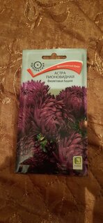 Семена Цветы, Астра, Фиолетовая башня, 0.3 г, пионовидная, цветная упаковка, Поиск - фото 1 от пользователя