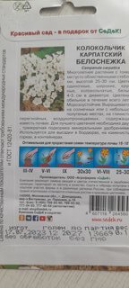 Семена Цветы, Колокольчик, Белоснежка карпатский, 0.1 г, цветная упаковка, Седек - фото 9 от пользователя