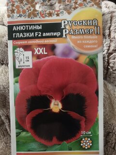 Семена Цветы, Анютины глазки, F2 Aмпир, 0.1 г, Русский размер, цветная упаковка, Русский огород - фото 1 от пользователя