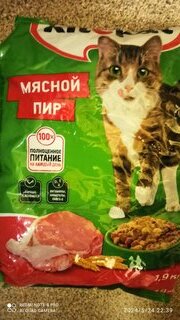 Корм для животных Kitekat, 1900 г, для взрослых кошек, сухой, мясной пир, пакет, 10132142 - фото 1 от пользователя